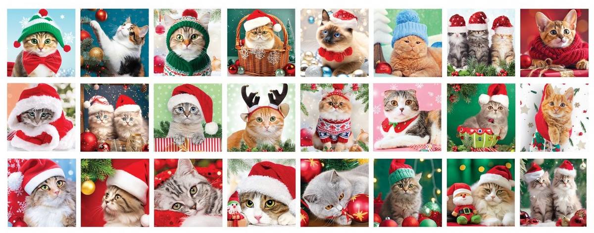 Eurographics - Christmas Whiskers - Advent Calendar 24 x 50 Piece