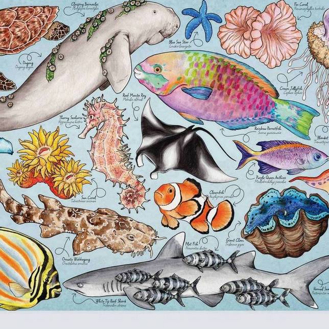 House of Puzzles - Great Barrier Reef - 1000 Piece Jigsaw Puzzle