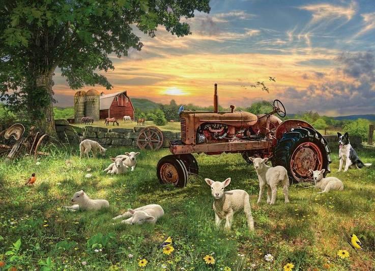 Cobble Hill - Field at Sunrise - 1000 Piece Jigsaw Puzzle
