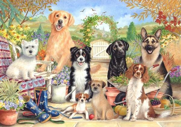 Otter House - Waiting For Walkies - 500 Piece Jigsaw Puzzle