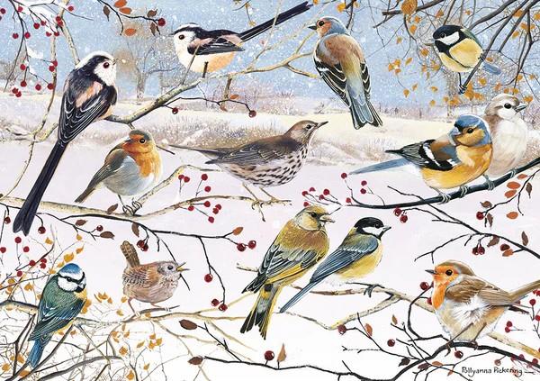 Otter House - Winter Birds - 1000 Piece Jigsaw Puzzle