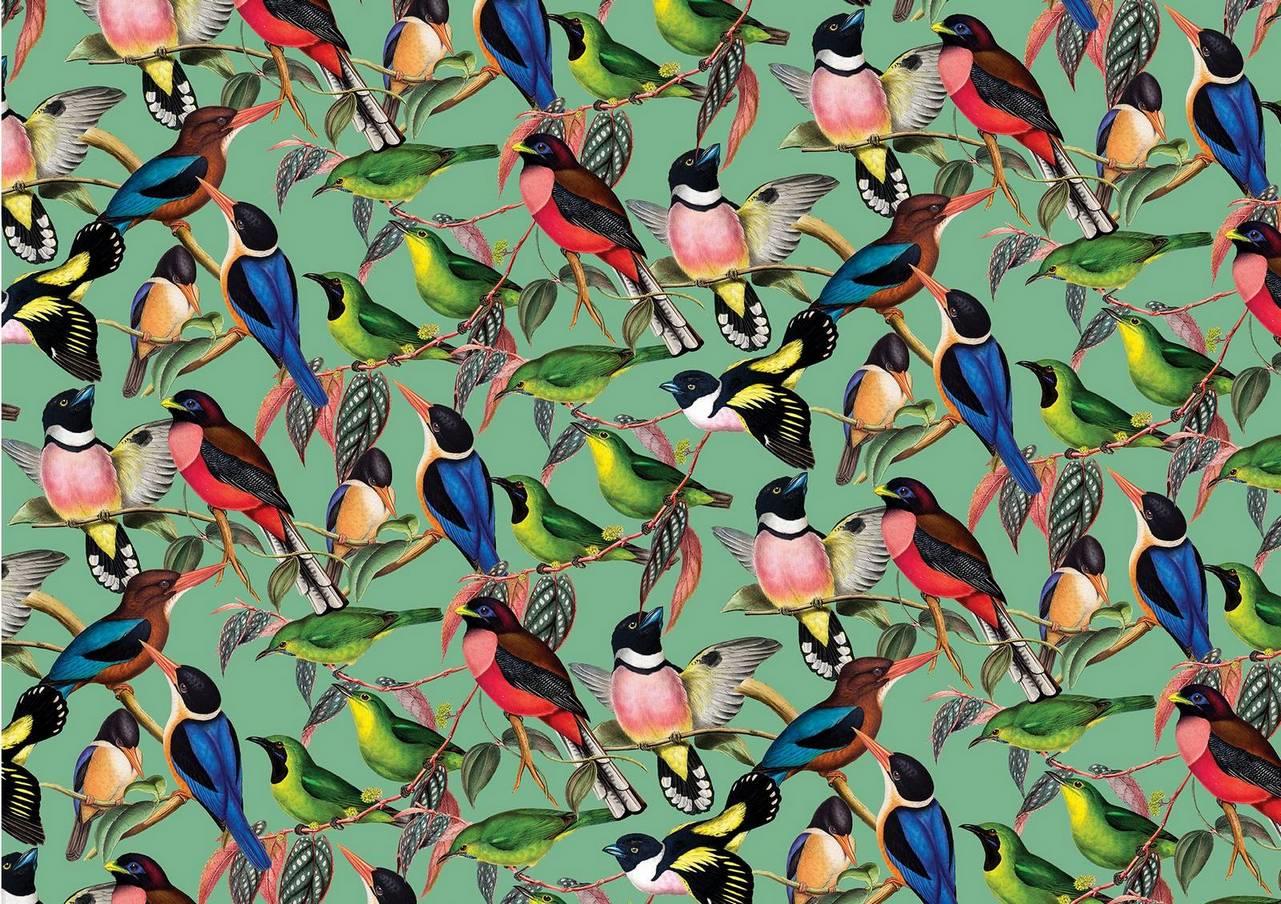 House of Puzzles - Brilliant Birds - 1000 Piece Jigsaw Puzzle