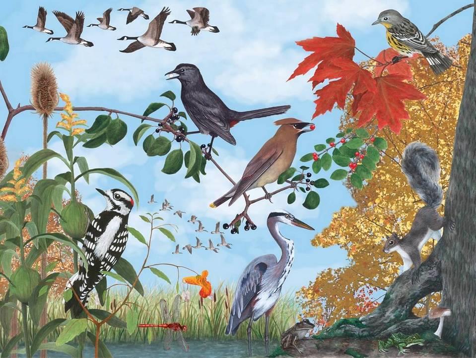 New York Puzzle Company Autumn Trail, 1000-piece jigsaw puzzle box front