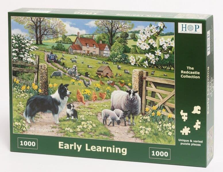 House of Puzzles - Early Learning - 1000 Piece Jigsaw Puzzle