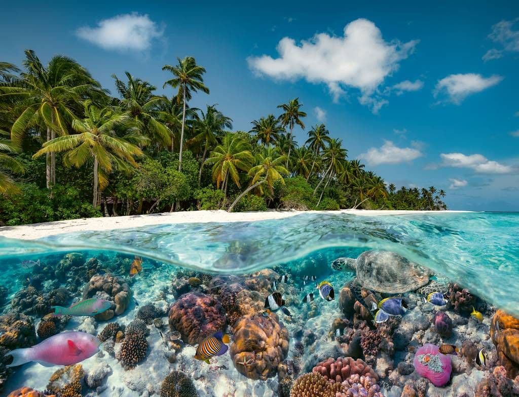 Ravensburger Beautiful Islands - Tropical Views - 1000...
