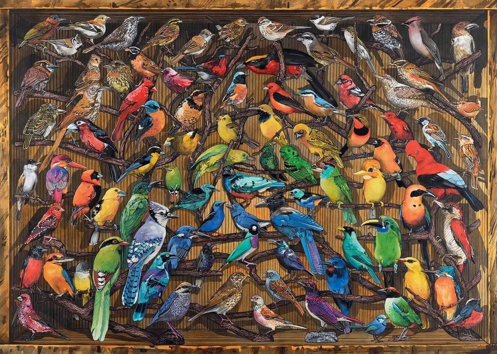 Ravensburger Rainbow of Birds, 1000-piece jigsaw puzzle