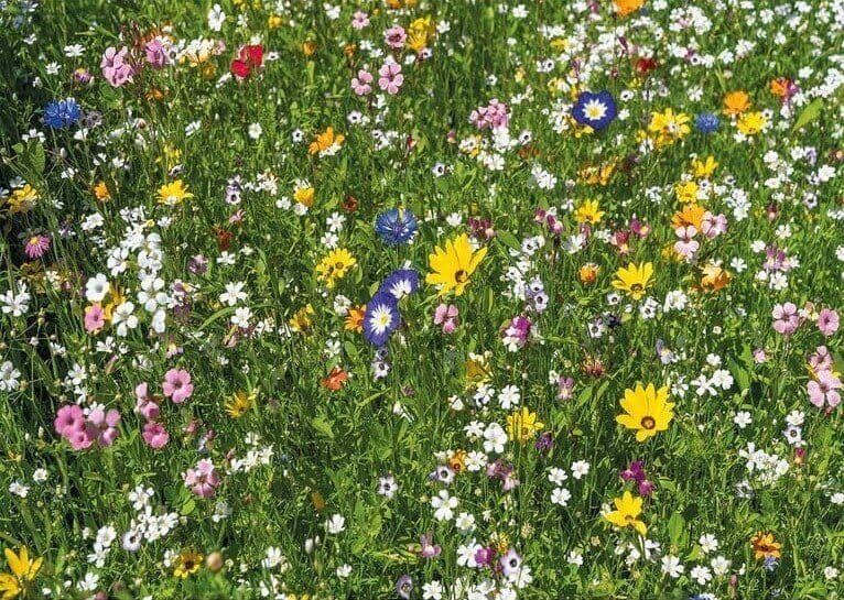 Wentworth Colourful Meadow, 40-piece jigsaw puzzle