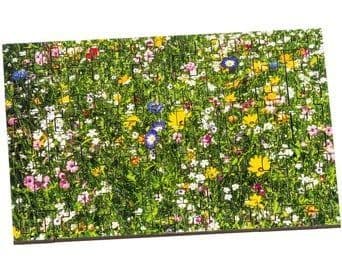 Wentworth - Colourful Meadow - 40 Piece Wooden Jigsaw Puzzle