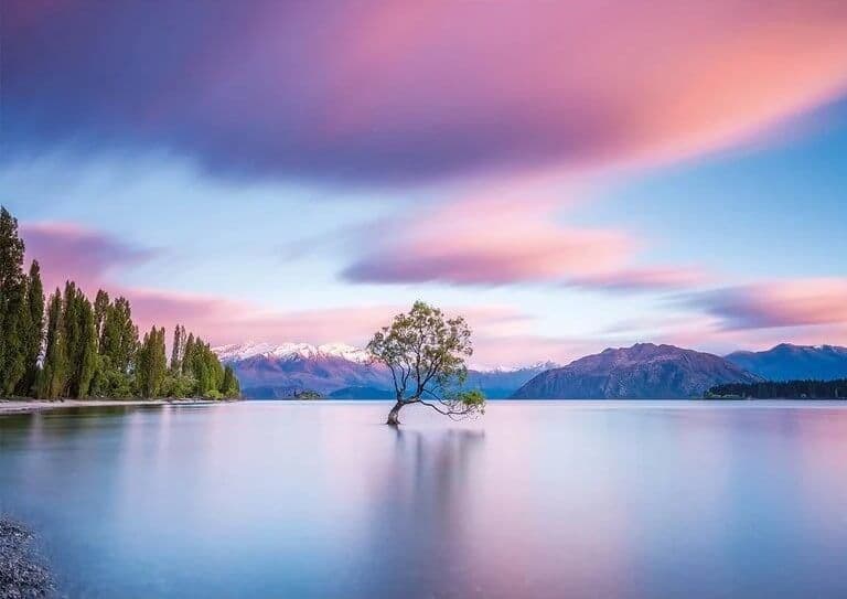 Wentworth Wanaka Tree, 40-piece jigsaw puzzle