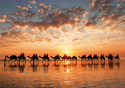 Educa - Golden Sunset on Cable Beach - 1000 Piece Jigsaw Puzzle