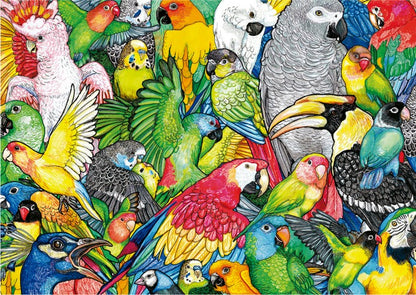 Educa - Parrots - 500 Piece Jigsaw Puzzle