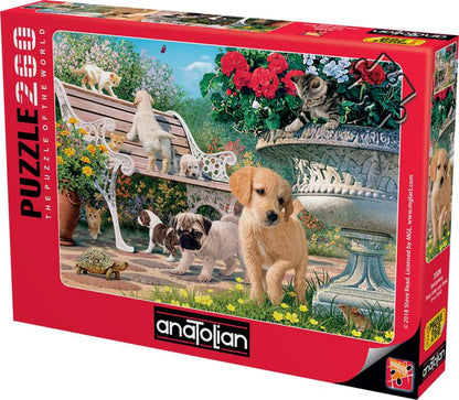 Anatolian - Pets Hide and Seek - 260 Piece Jigsaw Puzzle