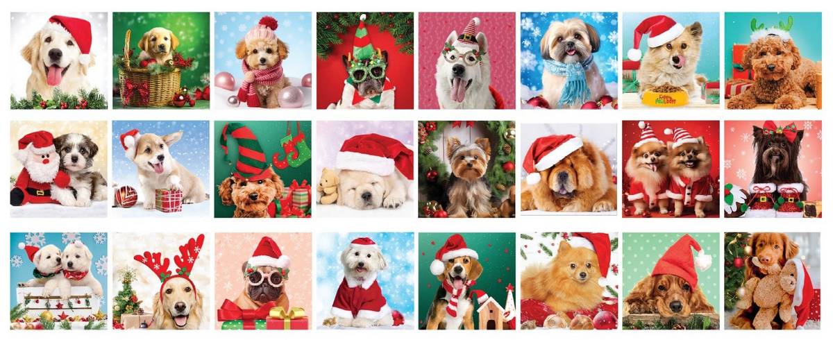 Eurographics - Christmas Paws - Advent Calendar 24 x 50 Piece