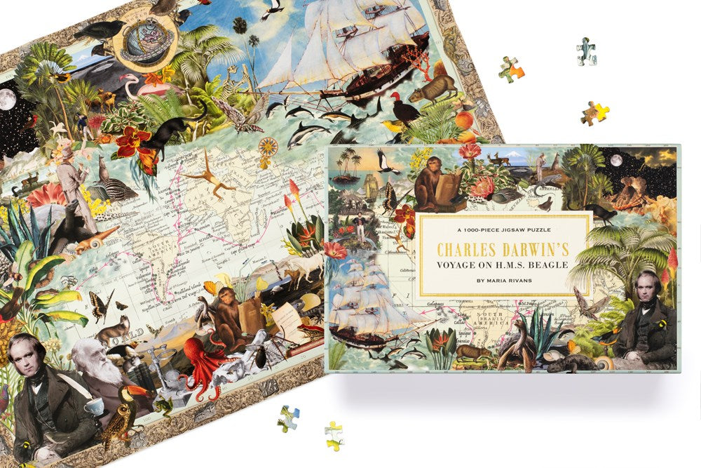 Thames & Hudson - Charles Darwins Voyage on HMS Beagle - 1000 Piece Jigsaw Puzzle