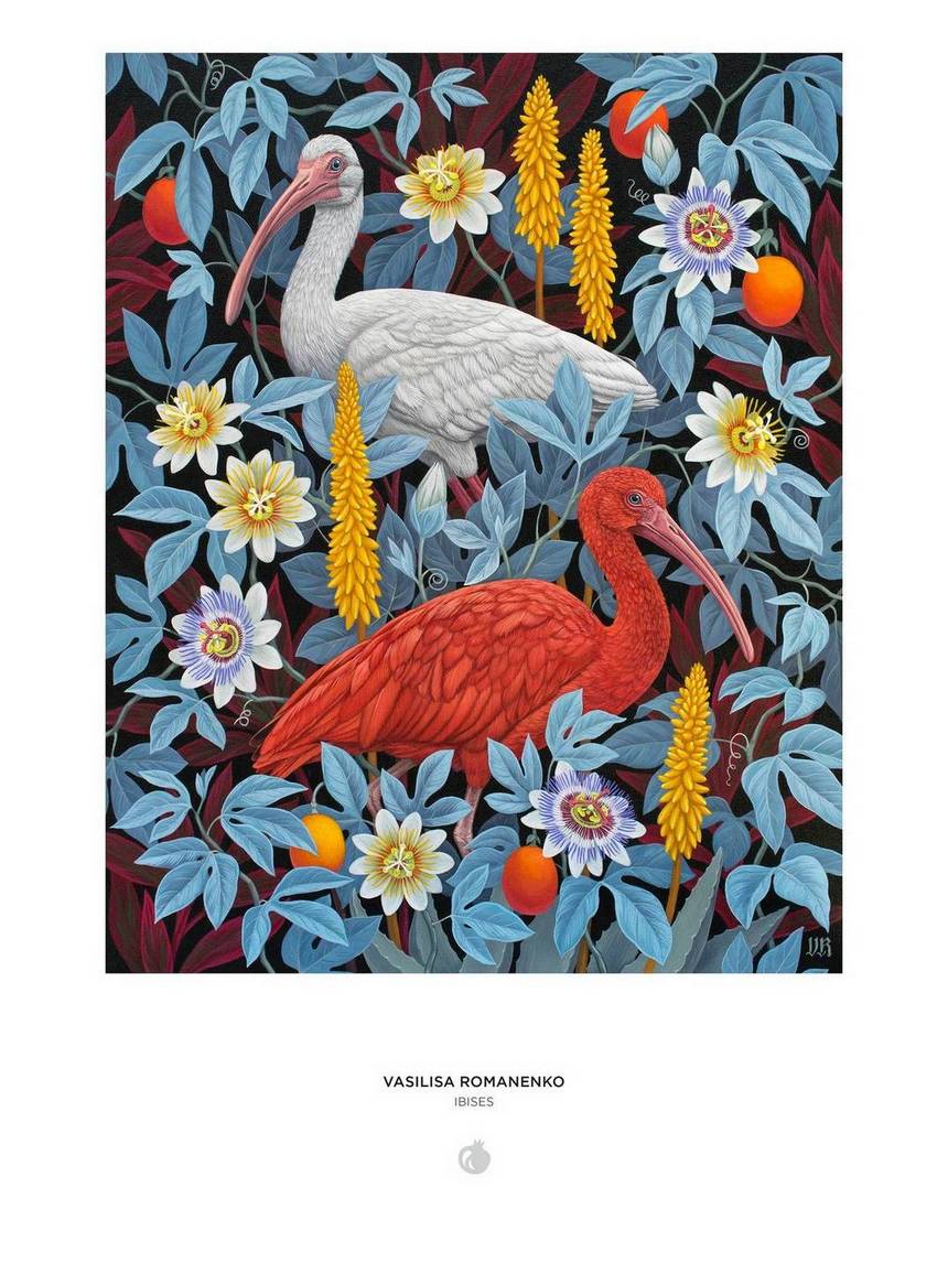 Pomegranate - Vasilisa Romanenko - Ibises - 1000 Piece Jigsaw Puzzle