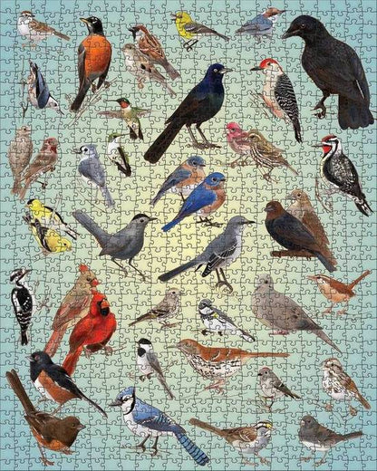 Pomegranate - Casey Girard - Backyard Birds - 1000 Piece Jigsaw Puzzle