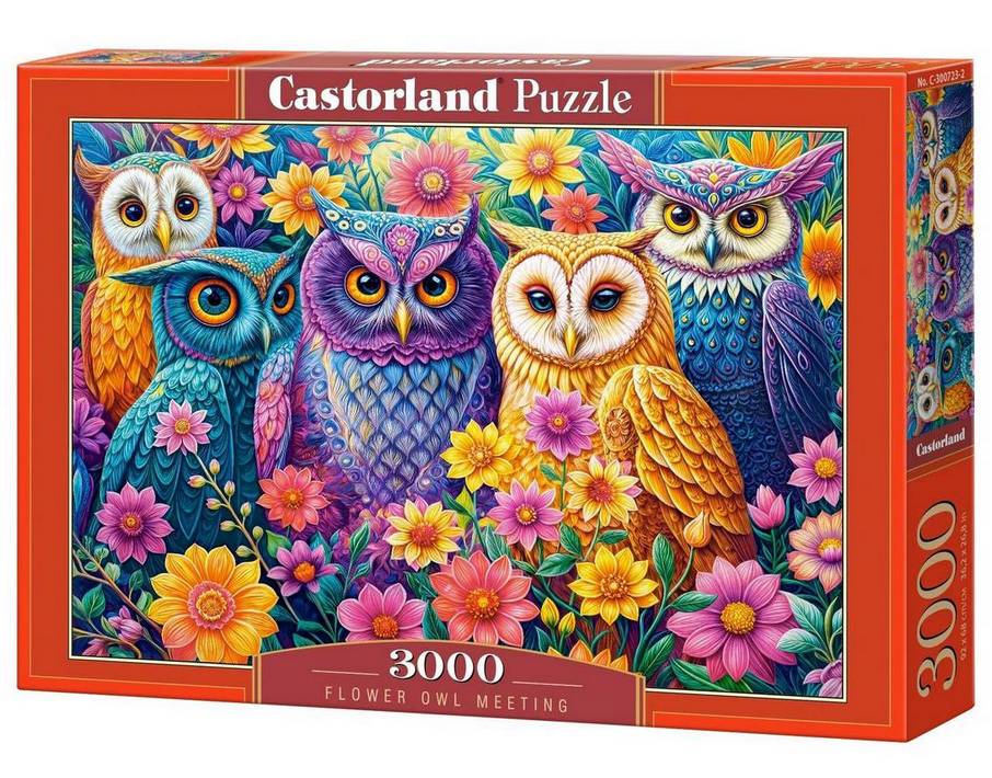 Castorland - Flower Owl Meeting - 3000 Piece Jigsaw Puzzle