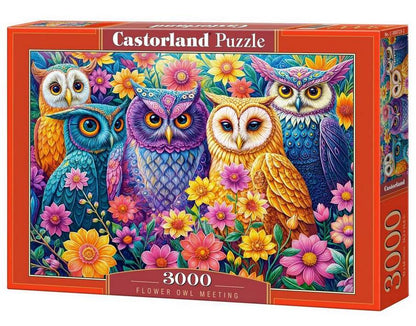 Castorland - Flower Owl Meeting - 3000 Piece Jigsaw Puzzle