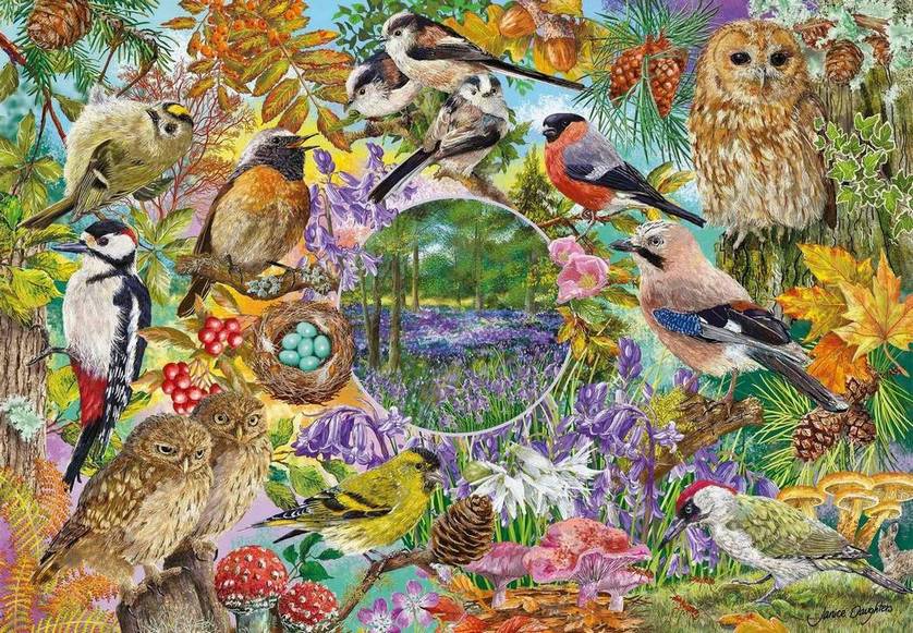 Gibsons - RSPB - Wings in the Wild - 4 x 500 Piece Jigsaw Puzzle
