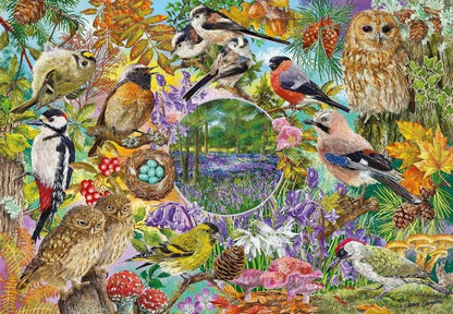 Gibsons - RSPB - Wings in the Wild - 4 x 500 Piece Jigsaw Puzzle