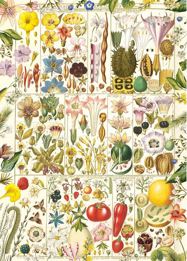 Gibsons - RHS - Botanical Bliss - 1000 Piece Jigsaw Puzzle