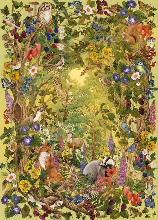 Gibsons - The Art File Sunlight Glade - 1000 Piece Jigsaw Puzzle