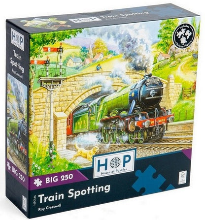 House of Puzzles - Train Spotting - 250XL Piece Jigsaw Puzzle