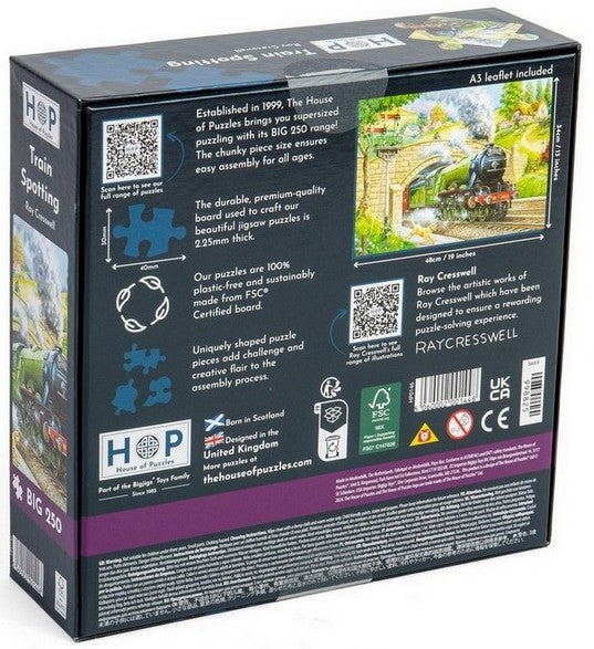 House of Puzzles - Train Spotting - 250XL Piece Jigsaw Puzzle