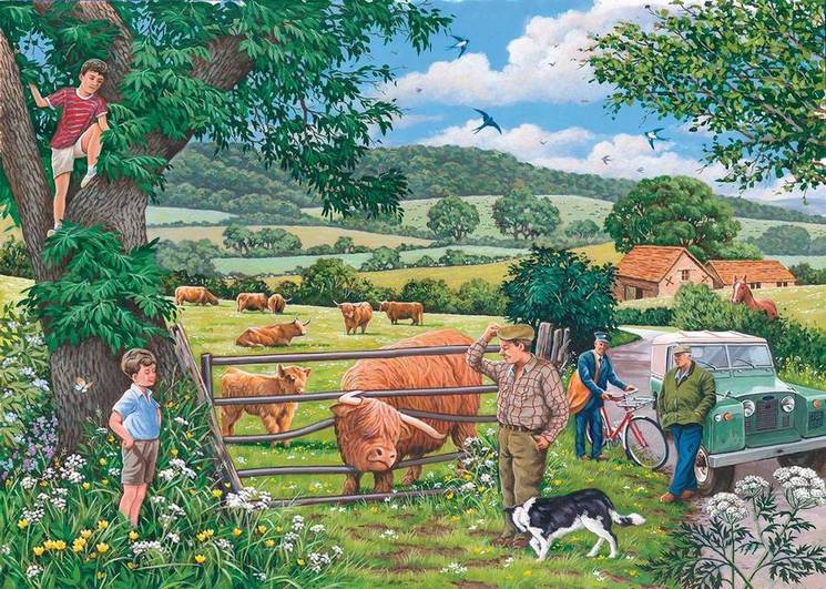 House of Puzzles - Roaming the Highlands - 4 x 500 Piece Jigsaw Puzzle
