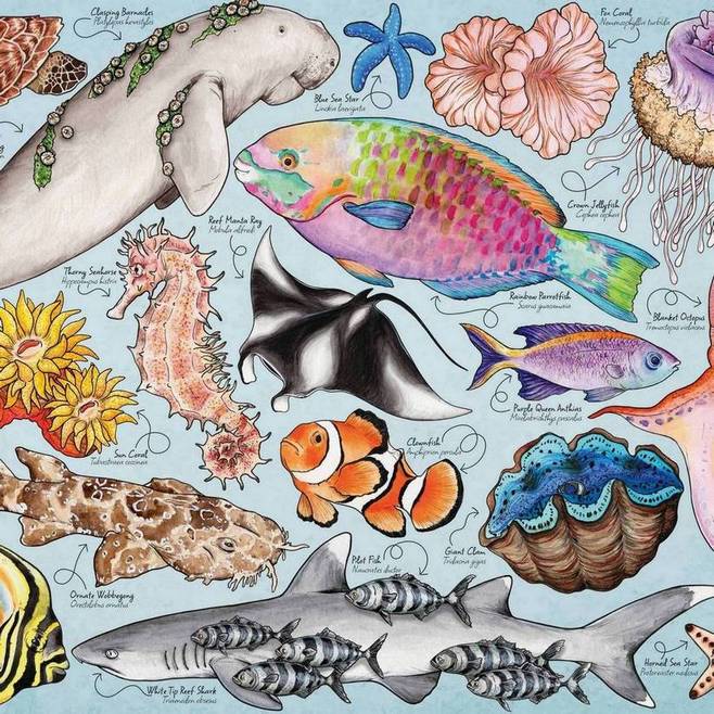 House of Puzzles - Great Barrier Reef - 150 Piece Mini Jigsaw Puzzle in a Tube