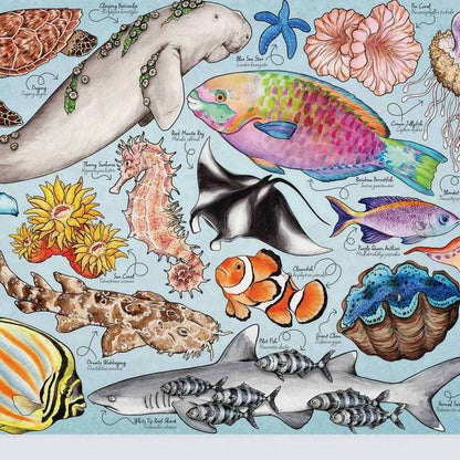 House of Puzzles - Great Barrier Reef - 1000 Piece Jigsaw Puzzle