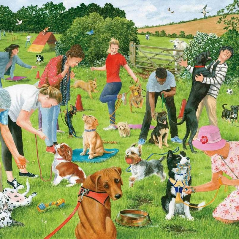 House of Puzzles - Puppy School - 500 Piece Jigsaw Puzzle
