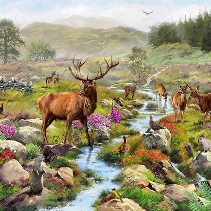 House of Puzzles - Highland Majesty - 1000 Piece Jigsaw Puzzle