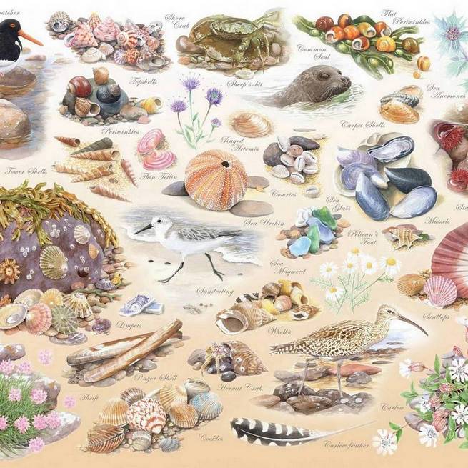 House of Puzzles - Sea Shore - 500XL Piece Jigsaw Puzzle