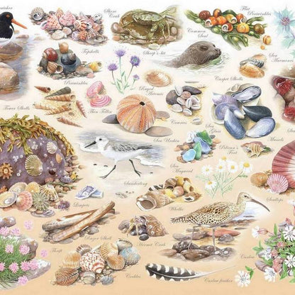 House of Puzzles - Sea Shore - 500XL Piece Jigsaw Puzzle
