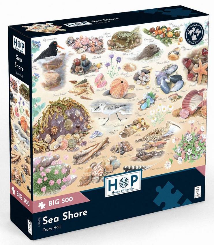 House of Puzzles - Sea Shore - 500XL Piece Jigsaw Puzzle