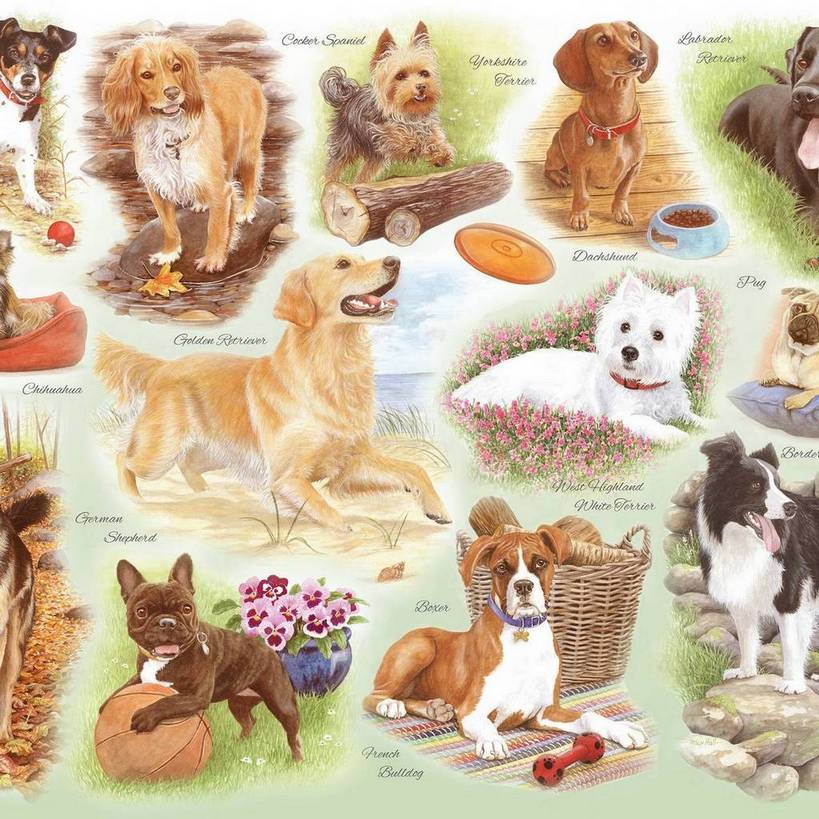 House of Puzzles - Some of Our Best Friends - 250XL Piece Jigsaw Puzzle
