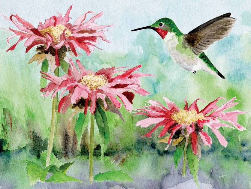 New York Puzzle Company - Ruby Throated Hummingbird - 1000 Piece Jigsaw Puzzle