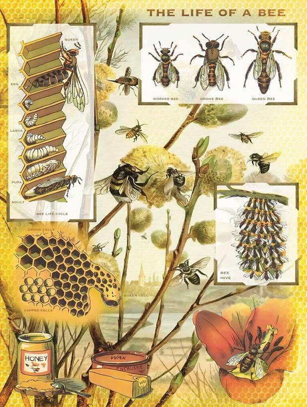 New York Puzzle Company - Bees & Honey - 1000 Piece Jigsaw Puzzle