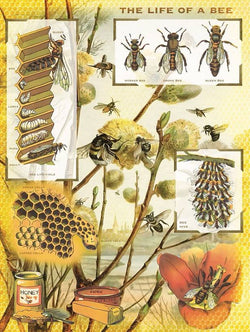 New York Puzzle Company - Bees & Honey - 1000 Piece Jigsaw Puzzle