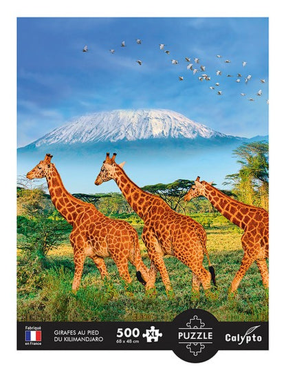 Calypto - Giraffes - 500XL Piece Jigsaw Puzzle