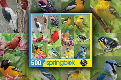 Springbok - Birds of a Feather - 500 Piece Jigsaw Puzzle