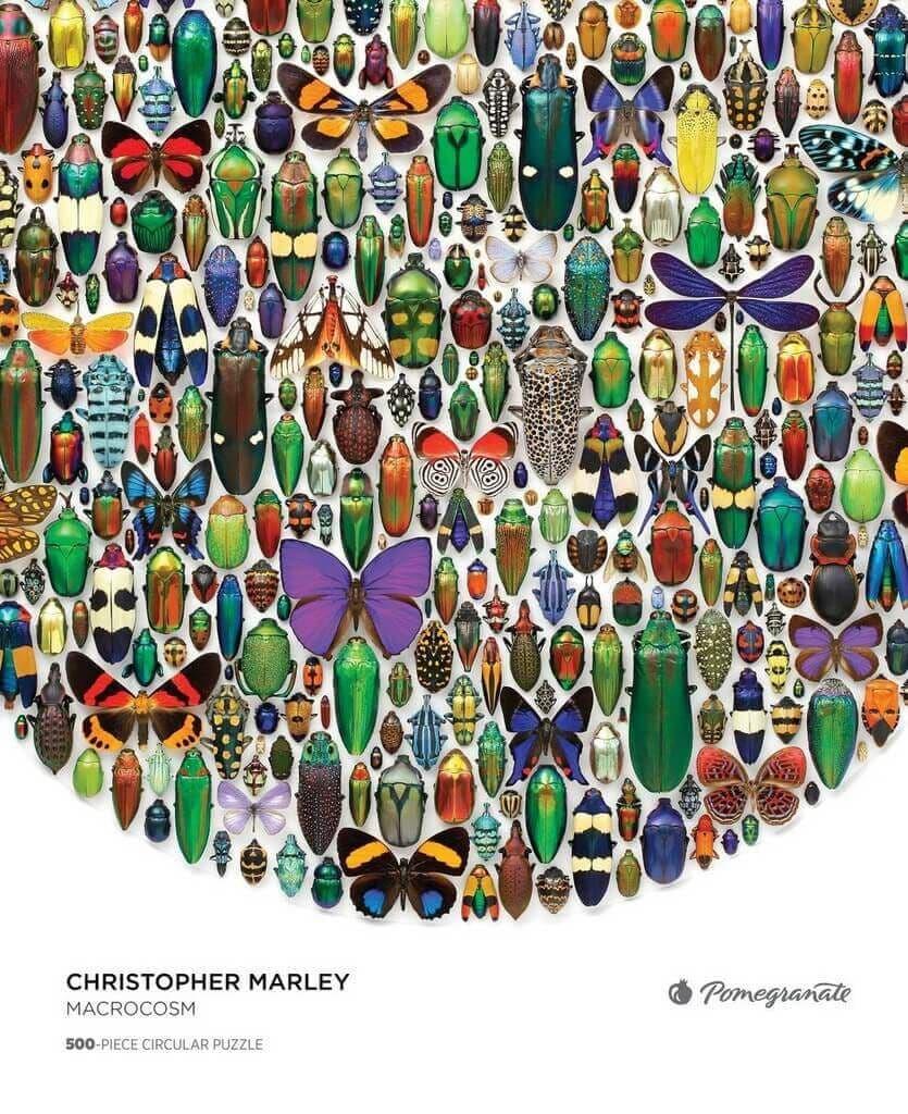 Pomegrante - Christopher Marley - Macrocosm - 500 Piece Circular Jigsaw Puzzle
