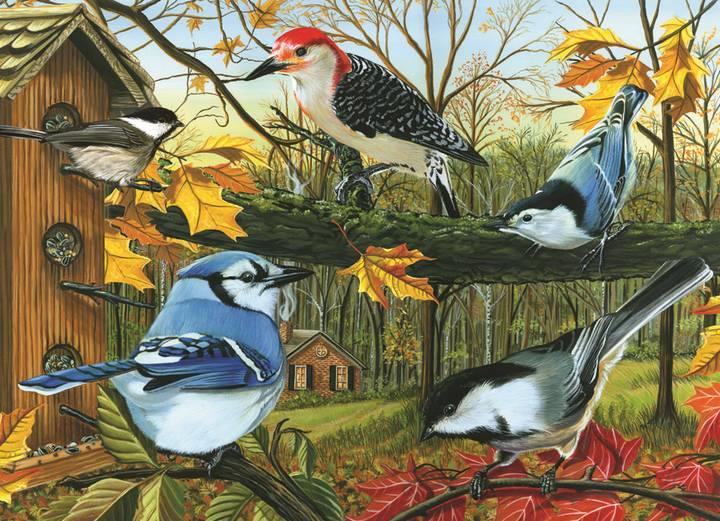 Cobble Hill - Blue Jays - 1000 Piece Jigsaw Puzzle