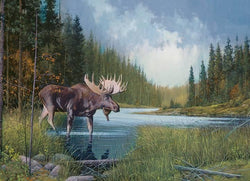 Cobble Hill - Moose Lake - 1000 Piece Jigsaw Puzzle