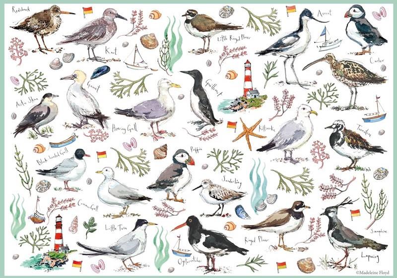 Otter House - Seabirds - 500 Piece Jigsaw Puzzle