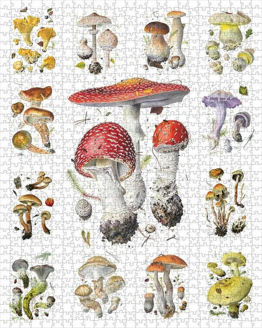 Pomegranate - Alexander Viazmensky - Mushrooms - 1000 Piece Jigsaw Puzzle