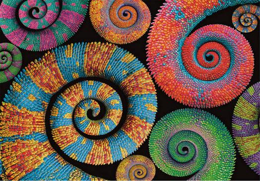 Clementoni - Colorboom Curly Tails - 500 Piece Jigsaw Puzzle