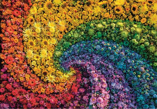 Clementoni - Whirl - Color Boom - 1000 Piece Jigsaw Puzzle