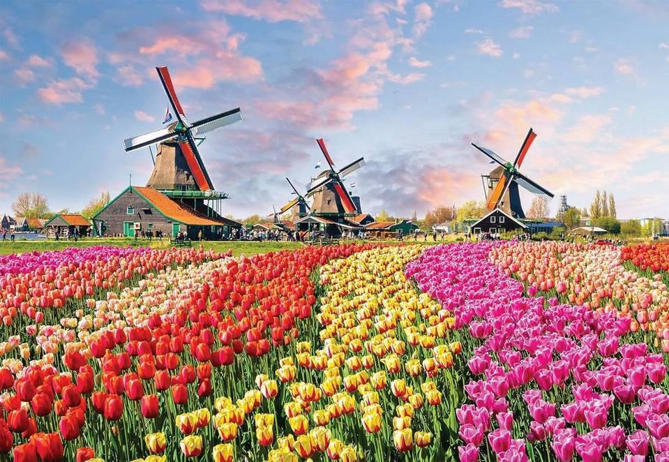 Cheatwell Games - World's Smallest Dutch Windmills - 1000 Piece Jigsaw Puzzle